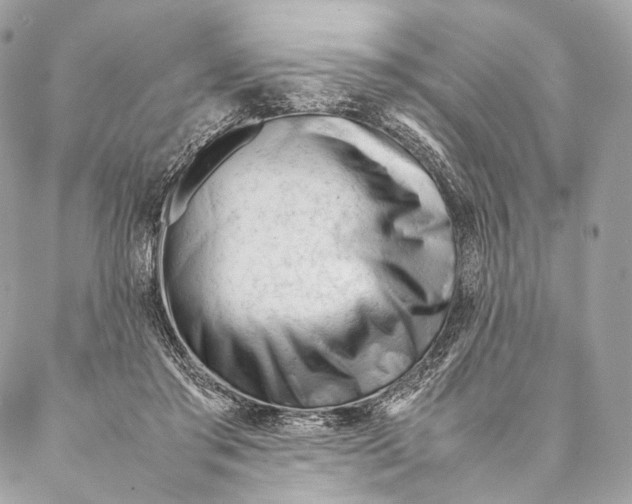 X0000087390405200705111806