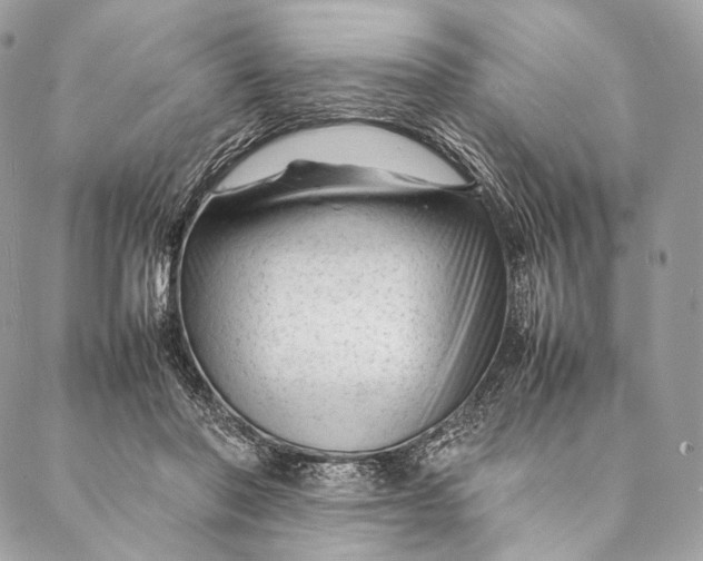 X0000087390406200705111806