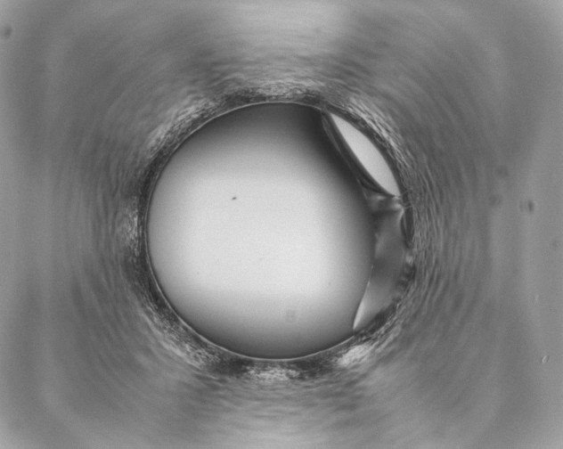 X0000087390407200705111806