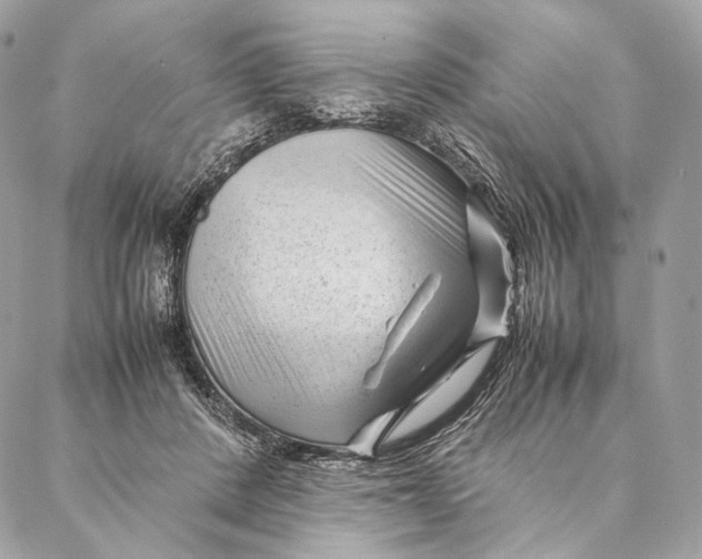 X0000087390408200705111806