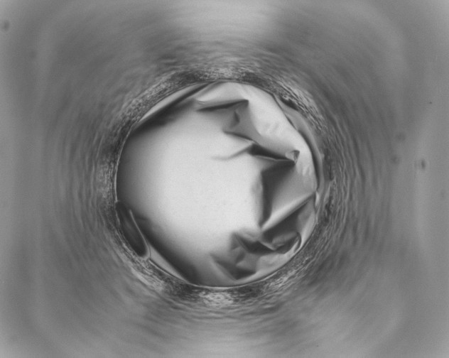 X0000087390409200705111805