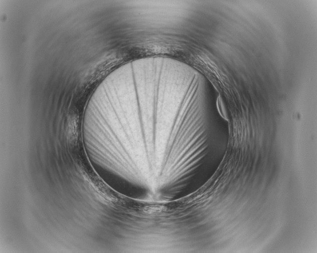 X0000087390410200705111805