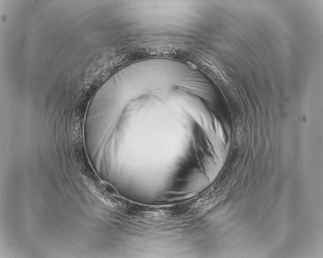 X0000087390411200705111805