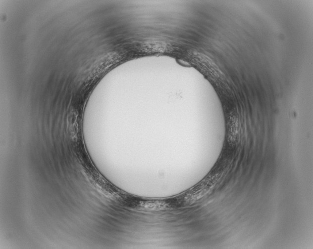 X0000087390414200705111805