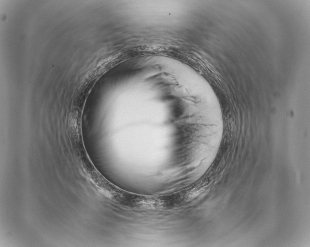 X0000087390415200705111805