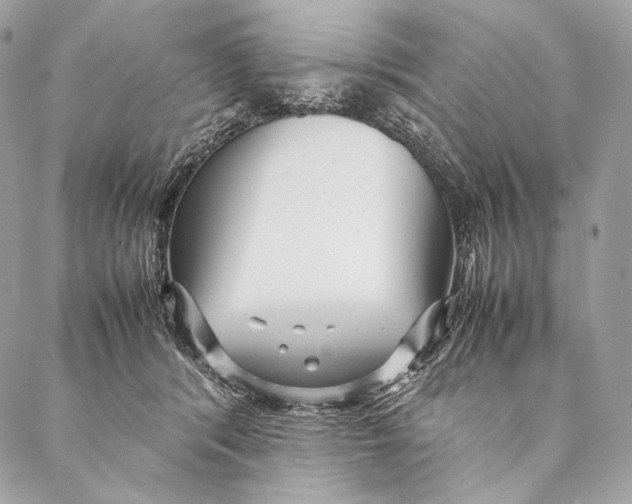 X0000087390416200705111805