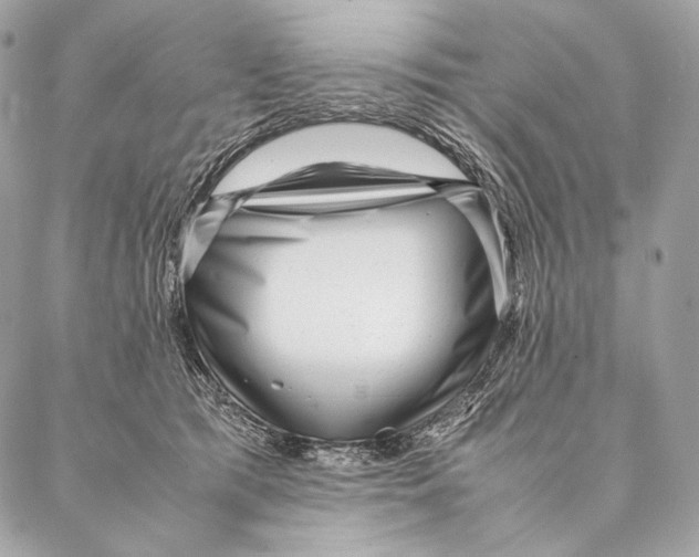 X0000087390417200705111805