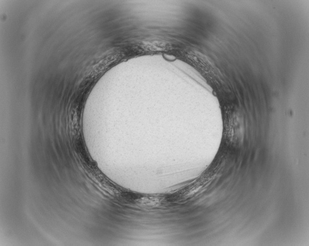 X0000087390418200705111805