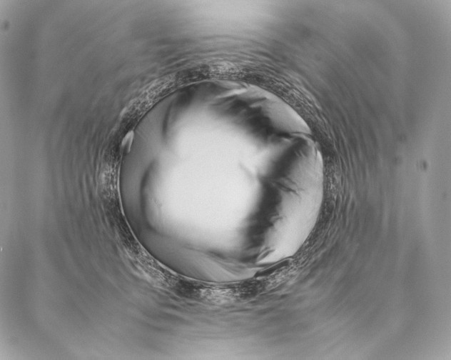 X0000087390419200705111805