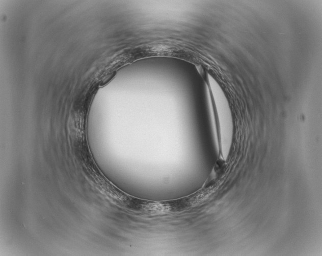 X0000087390421200705111805