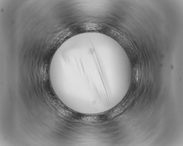 X0000087390422200705111805