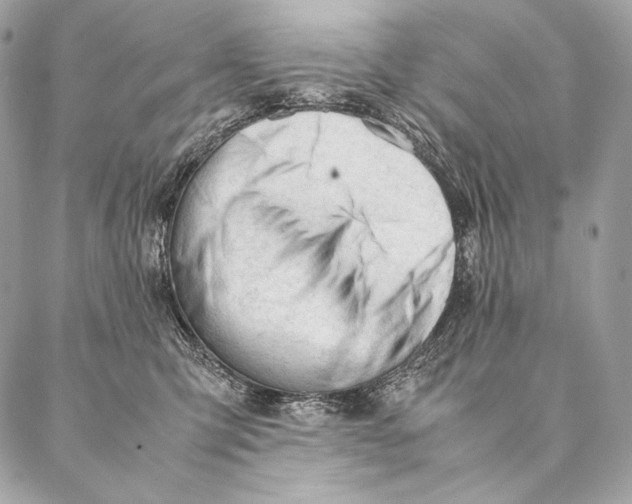 X0000087390423200705111805