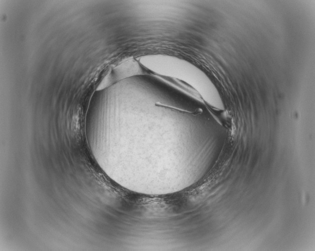 X0000087390424200705111805