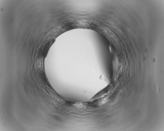 X0000087390425200705111805