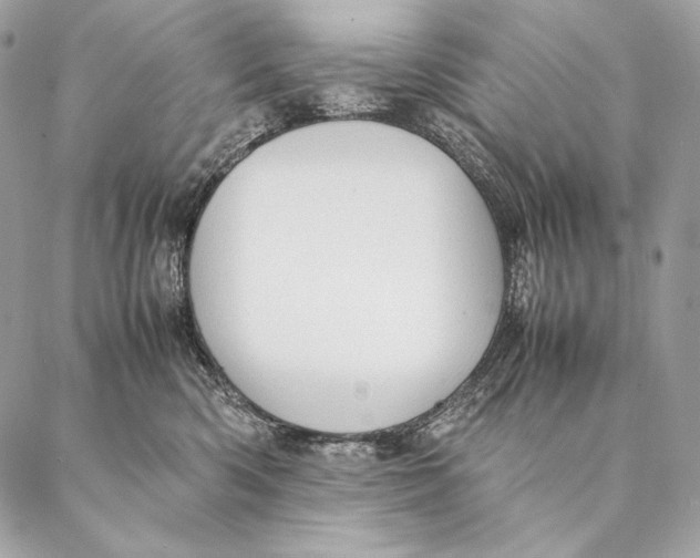 X0000087390426200705111805