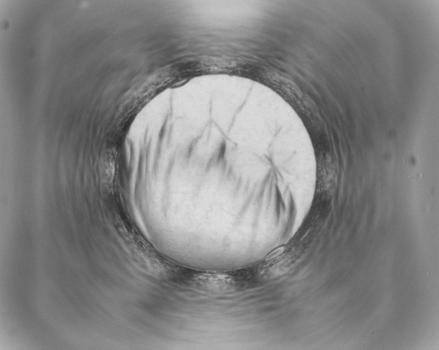 X0000087390427200705111805