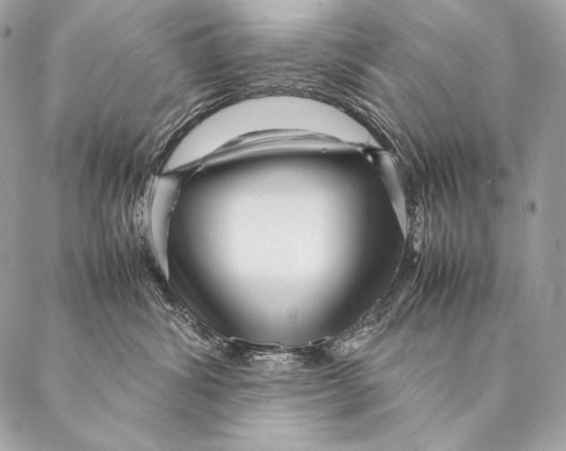 X0000087390428200705111805