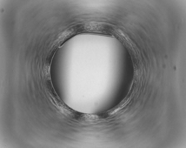 X0000087390429200705111805