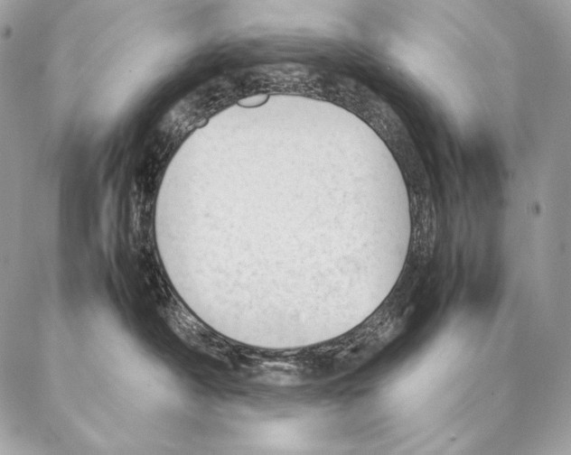 X0000087390430200705111805