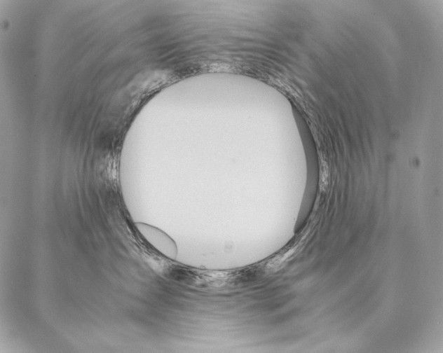 X0000087390431200705111805