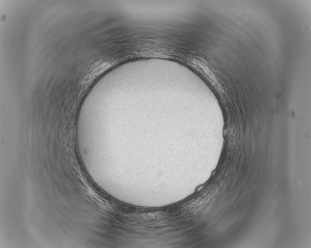 X0000087390433200705111804