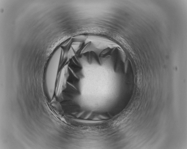 X0000087390434200705111804