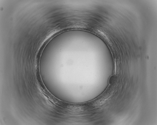 X0000087390435200705111804