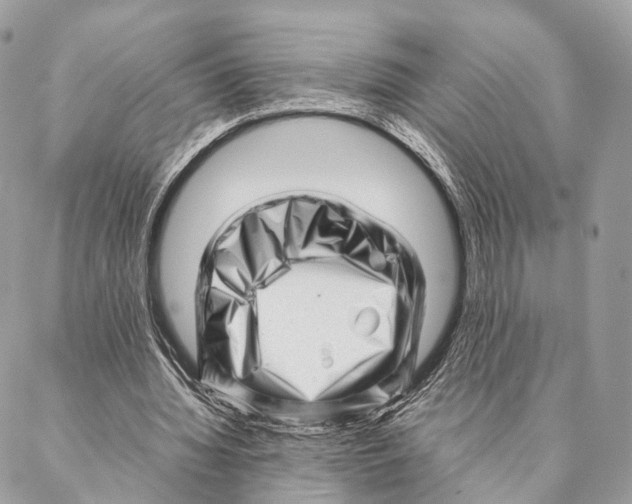 X0000087390436200705111804