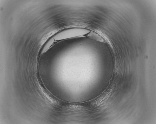 X0000087390437200705111804