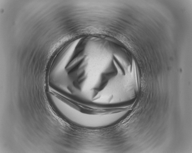 X0000087390438200705111804