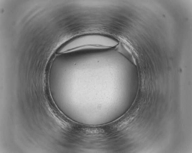 X0000087390439200705111804