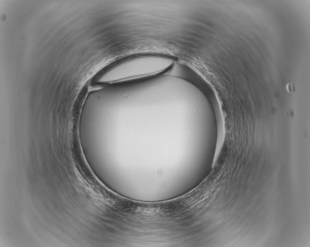 X0000087390440200705111804