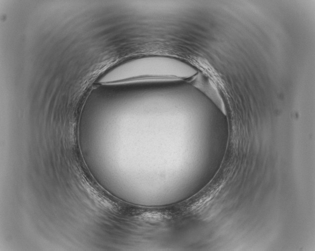 X0000087390441200705111804