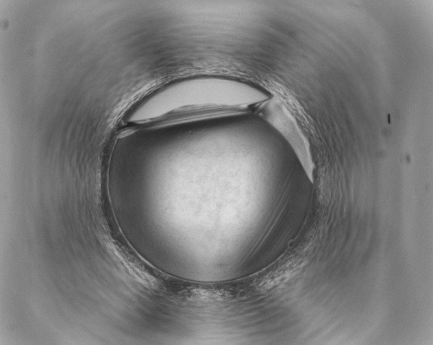 X0000087390442200705111804