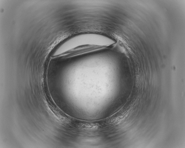 X0000087390443200705111805