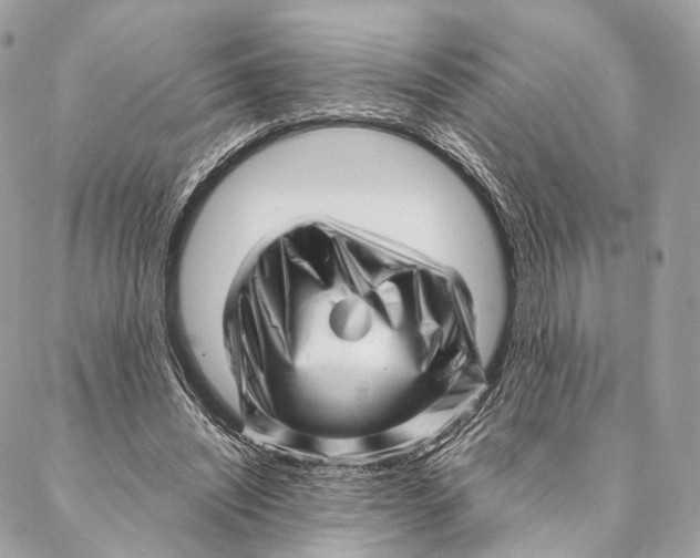 X0000087390444200705111805