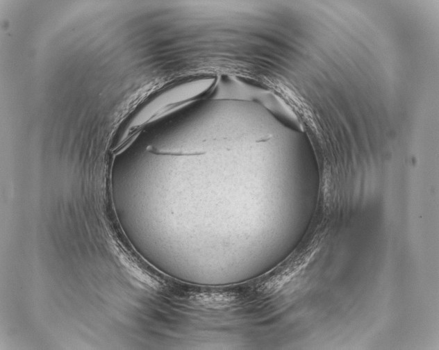 X0000087390445200705111805