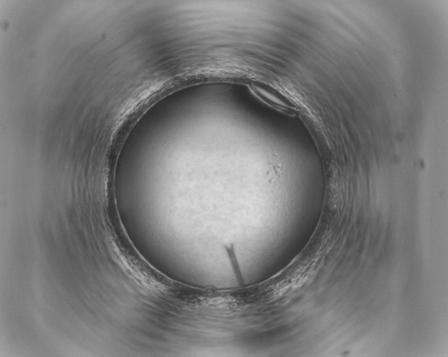 X0000087390446200705111805