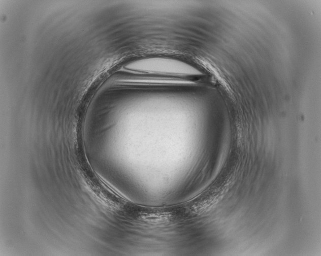 X0000087390447200705111805