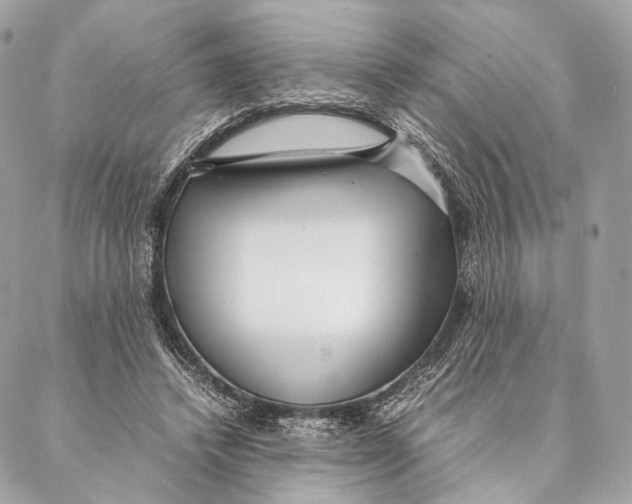 X0000087390448200705111805