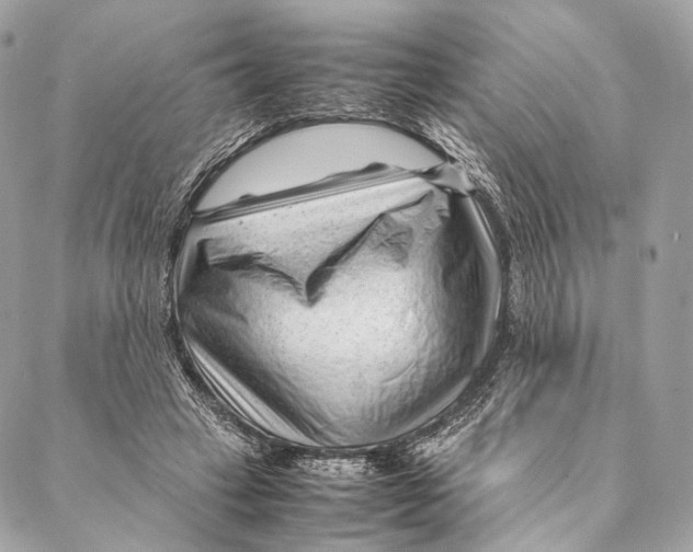 X0000087390449200705111805