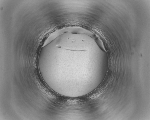 X0000087390450200705111805