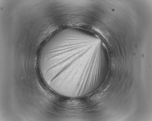 X0000087390451200705111805