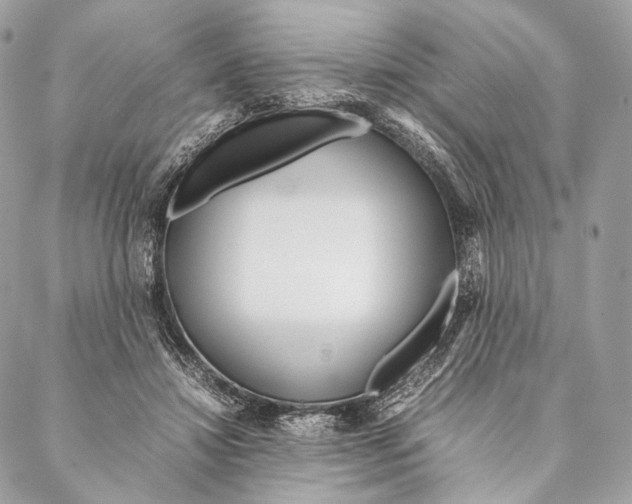 X0000087390452200705111805