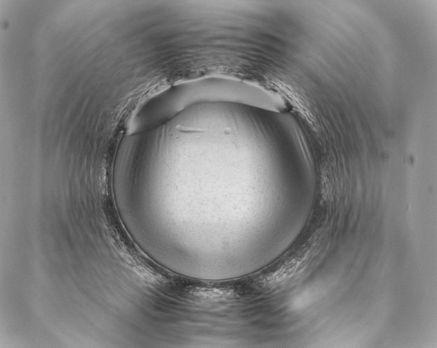 X0000087390453200705111805