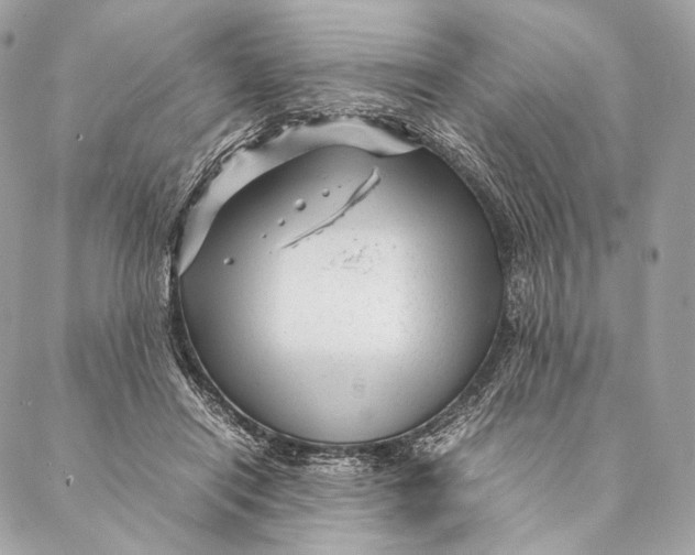 X0000087390454200705111805