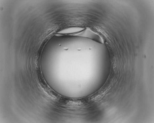 X0000087390455200705111805