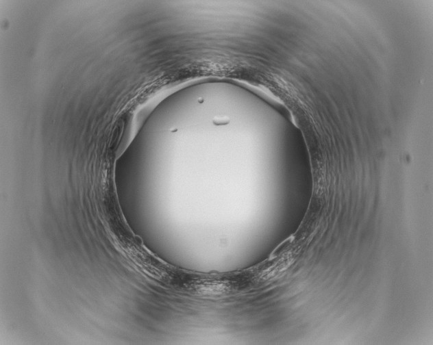 X0000087390456200705111805