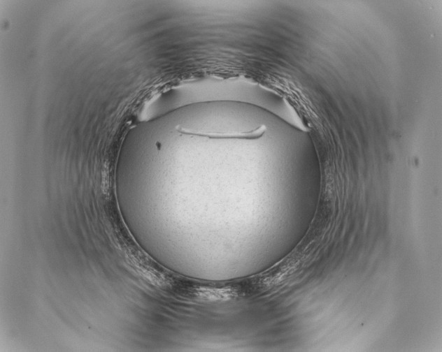 X0000087390457200705111805