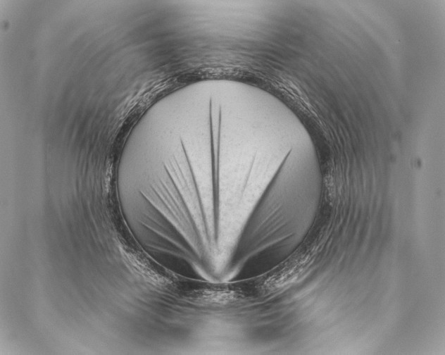 X0000087390458200705111805